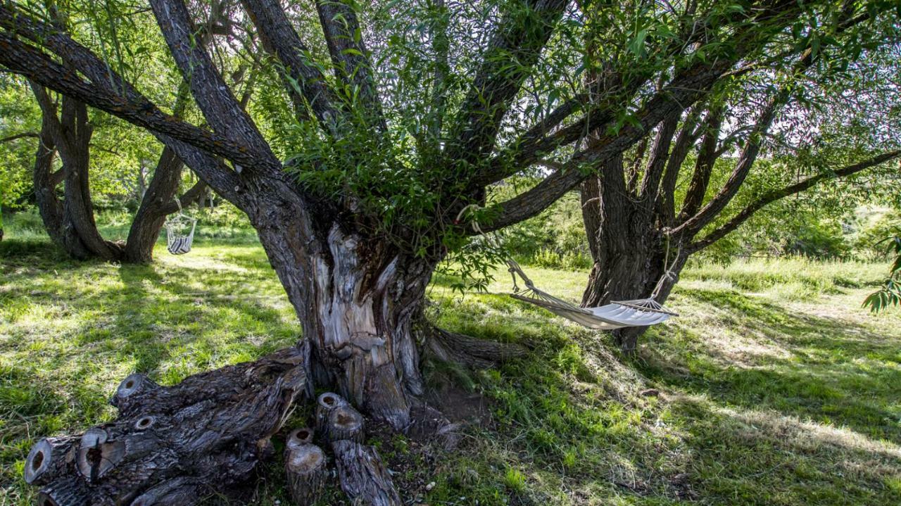 Masia El Cabrero Villarroya de los Pinares Dış mekan fotoğraf